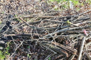 A pile of dry branches at the cottage in the garden