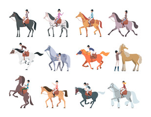 Horse riders. Equestrian sport people sitting walking on strong domestic horses and pony persons breeds racing animals vector. Horseman run, equine and jockey, sport equestrian illustration