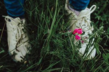 Flower in the grass. Sneakers.