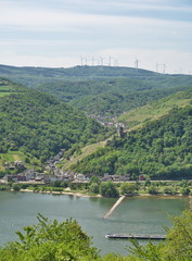 Fototapeta premium Rhein-Wisper-Glück