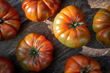 Top front view of a group of red tomatoes produced in an organic urban garden in a rural home field for own consumption