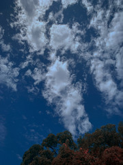 clouds in the sky