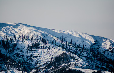 Patnitop a city of Jammu and its park covered with white snow, Winter landscape
