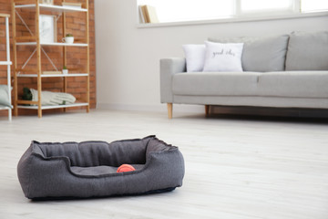 Comfortable pet bed on floor in living room