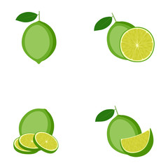 Lime, whole fruit, half, slice, vector illustration