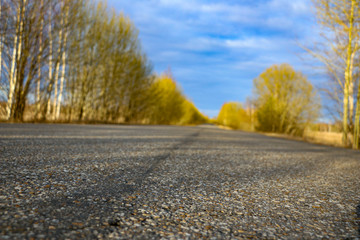 spring forest road on  sunny morning, with blue sky and white fluffy clouds. Country asphalt road in golden sunshine, between young trees and bushes with  first spring leaves.