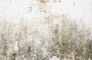 Old grunge texture background. Vintage texture and abstract pattern background.