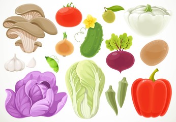 Set of different vegetables Isolated on a white background