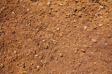 Background Pattern