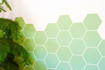 Retro modern green Hexagon tiled wall with half white wall, modern background texture, new interior