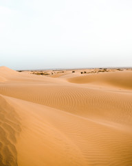 sand dunes India