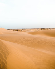 sand dunes India