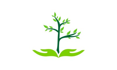 hand care to safe the green plant vector