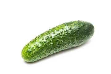 One cucumber on a white background