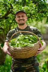 Farmer with a basket of orache (French spinach)