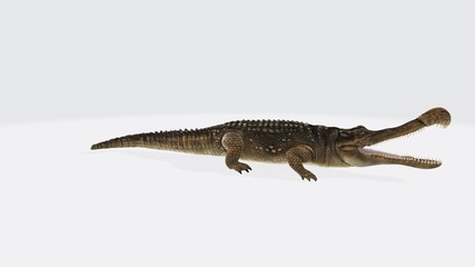 3d illustration of sarcosuchus. Sarcosuchus Reptile - Sarcosuchus is an extinct genus of carnivorous crocodile that lived in the Cretaceous Period of Africa.