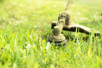 Mowng grass in lawn whith trimmer