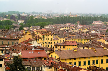 Fototapeta premium From the guinigi's tower a landscape aerial view of the roofs of the medieval town of Lucca in Tuscany, Italy . The urban sign of the old amphitheater now become a square, is visible