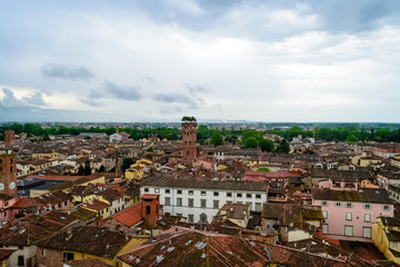 Fototapeta premium Lucca, Tuscany, Italy. Aerial view of this little medieval town with its famous landmark the Guinigi's tower. A tall building with some little trees on top of it