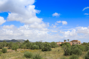 The island of Majorca  -On holiday trip east of the island - Cala dòr