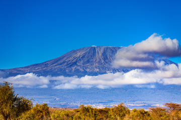 Close view Kilimanjaro in clouds mountain from Kenya national park Amboseli, Africa