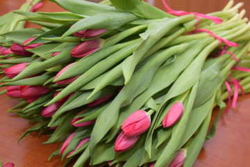 Tulips