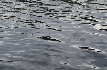 Water waves for nature backgrounds. Waves on the water surface. Relaxation and silence concept