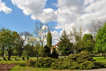 Chmurki © Kamila