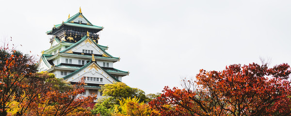 Naklejka premium Osaka Castle in autumn