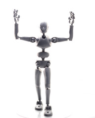 training, exercise, demonstration, puppet, physiology, posture, sports