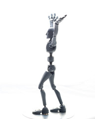 training, exercise, demonstration, puppet, physiology, posture, sports