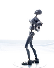 training, exercise, demonstration, puppet, physiology, posture, sports