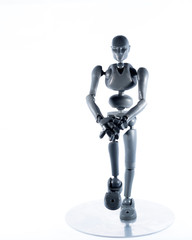 training, exercise, demonstration, puppet, physiology, posture, sports