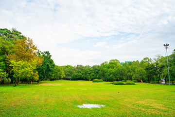 Green nature public city park green meadow grass sky with cloud