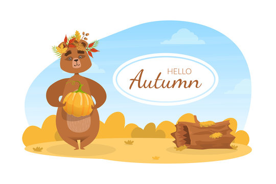 Hello Autumn Banner Template, Cute Brown Bear in Wreath of Colorful Leaves Standing with Pumpkin on Autumn Landscape Vector Illustration