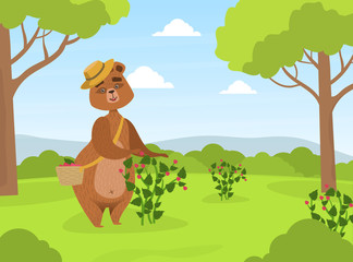 Cute Brown Bear in Straw Hat Collecting Raspberries from Bush into Wicker Basket on Summer Landscape Vector Illustration