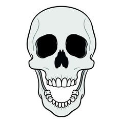 friendly gray skull with open mouth. isolated on white background, comic.