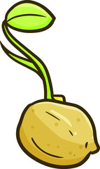 Cute and funny sprouts growing up from a potato