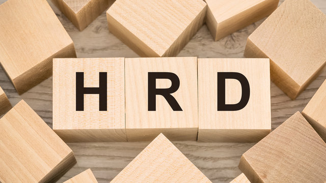 human resource development hrd text writing on wooden blocks business concept