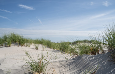 Sand Dunes, Avalon, New Jersey