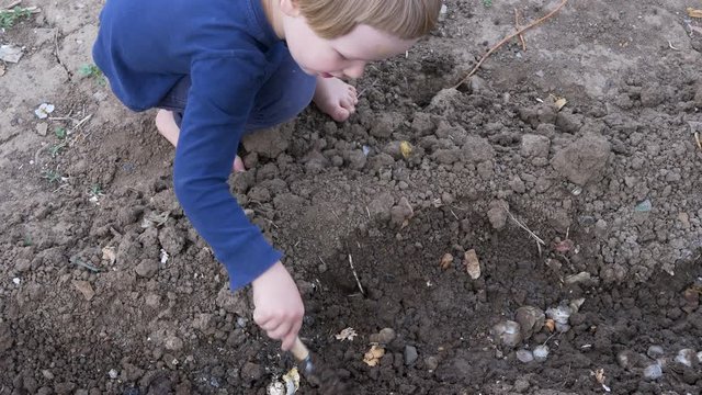 Cute blond boy plays in garden and digs bed for planting seedlings of vegetables with small spatula