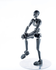 training, exercise, demonstration, puppet, physiology, posture, sports