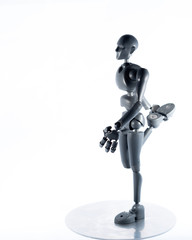 training, exercise, demonstration, puppet, physiology, posture, sports