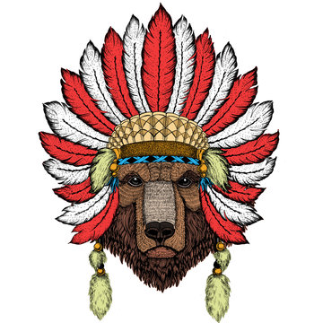 Wild bear. Portrait of animal for emblem, logo, tee shirt. Indian headdress with feathers. Boho style.