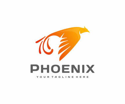 Phoenix bird logo design. Flying fire bird vector design. Burning fiery bird logotype