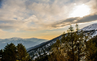 Patnitop a city of Jammu and its park covered with white snow, Winter landscape
