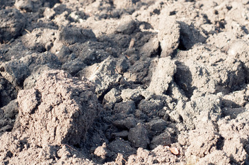 Soil, earth, ground close up. 