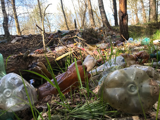 Garbage in the forest. Plastic clogging of ecology and nature. Discarded bottles. Coastal pollution.