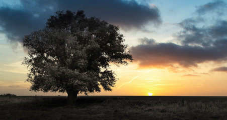sunset in the clouds