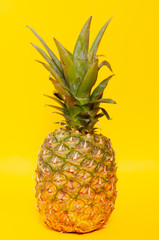 Whole Pineapple on Yellow Background, large plan